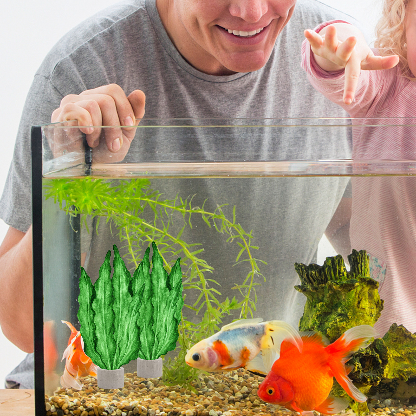 Planted Aquarium With Fish - 5Pcs Premium Pottery Water Plant Fixed