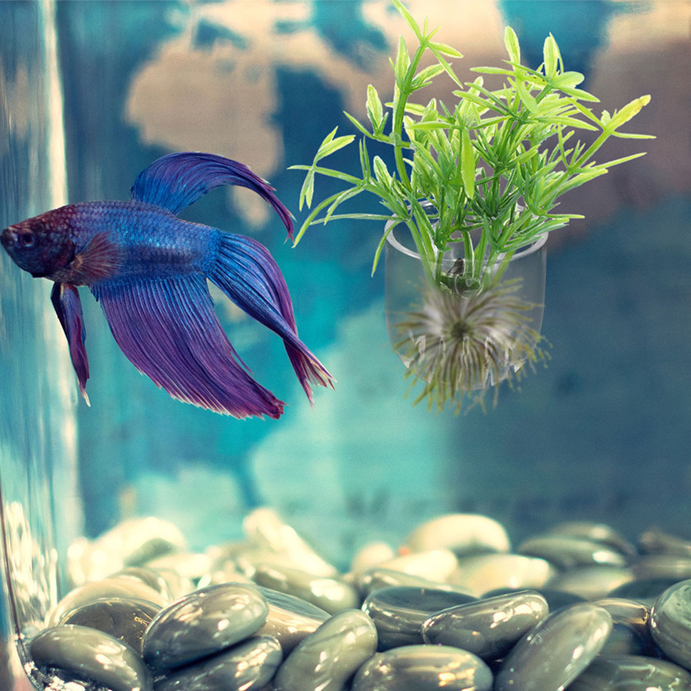 Aquarium Planted Setup - 10Pcs Acrylic Aquarium Planter Cups Adjustable