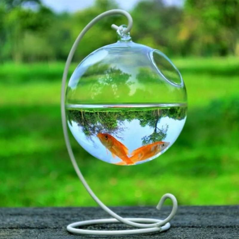 Planted Aquarium With Fish - Transparent Spherical Glass Handmade Fish for