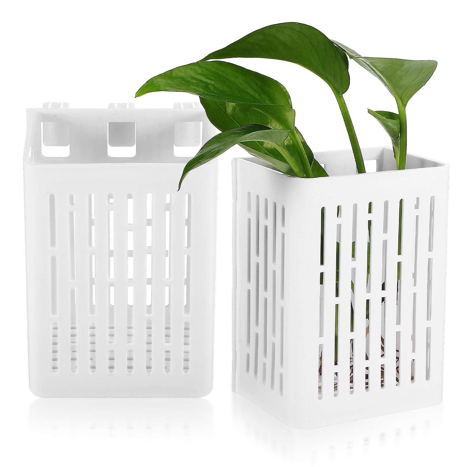 Aquarium Planted Setup - 2Pcs Hanging Aquarium Planter Basket Aquatic