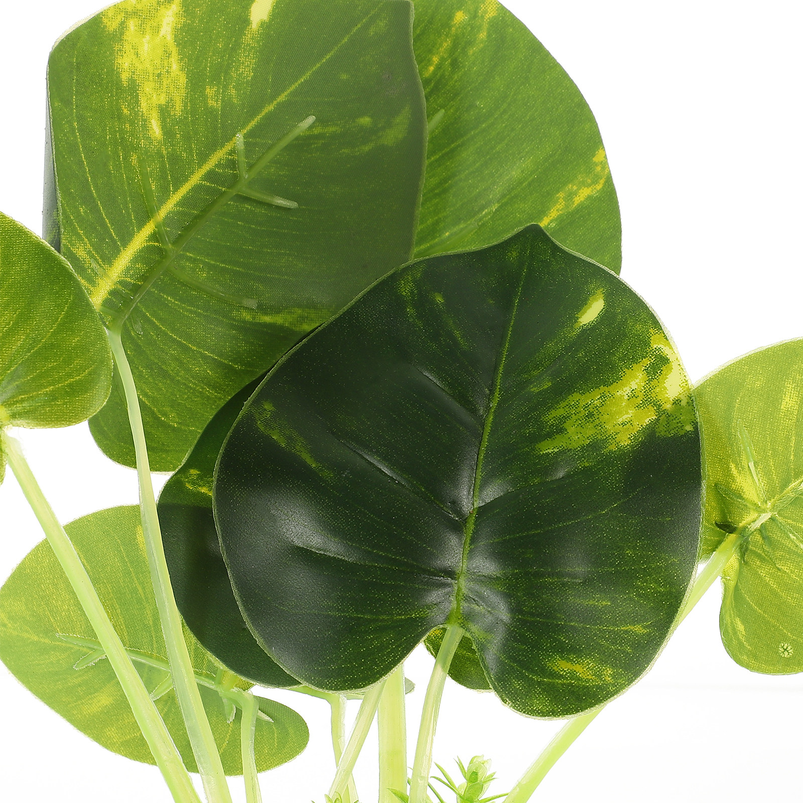 Non Planted Aquarium Fish - Realistic Artificial Aquarium Plants Decor for