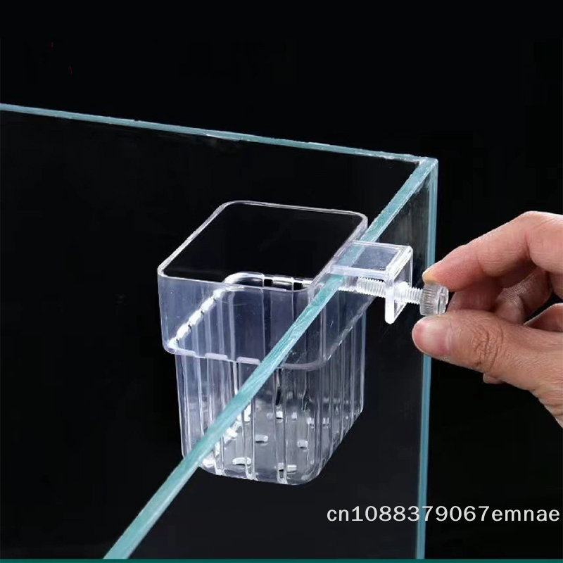 Wall-Mounted Transparent Hydro - Aquarium Planted Setup 리뷰 및 가격
