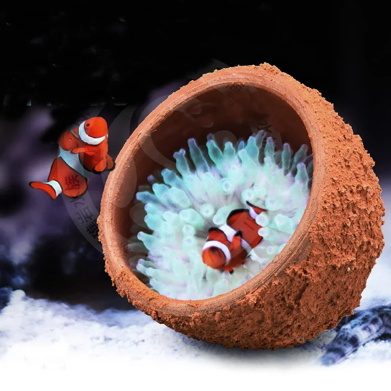 Anemone Nest Prevent Running A - Aquarium Planted Soil 리뷰 및 가격