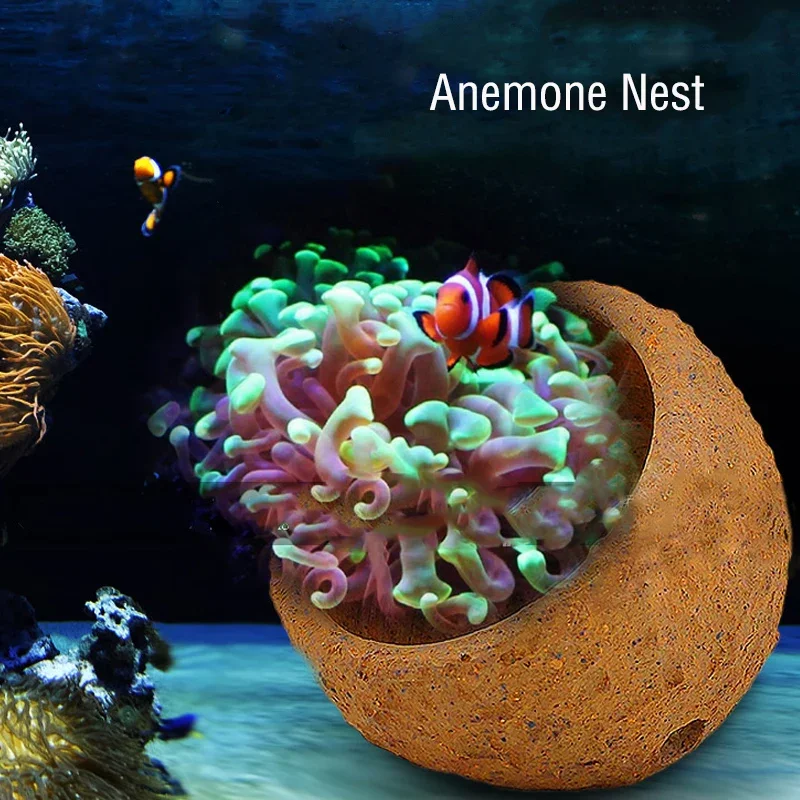 Anemone Nest Prevent Running A - Aquarium Planted Soil 리뷰 및 가격