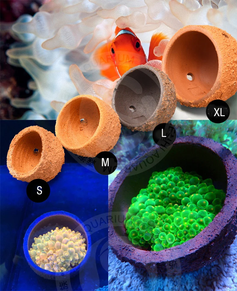 Anemone Nest Prevent Running A - Aquarium Planted Soil 리뷰 및 가격
