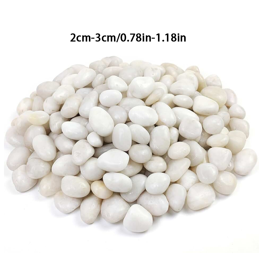 300/500g High Polished White P - Aquarium Sand White 리뷰 및 가격