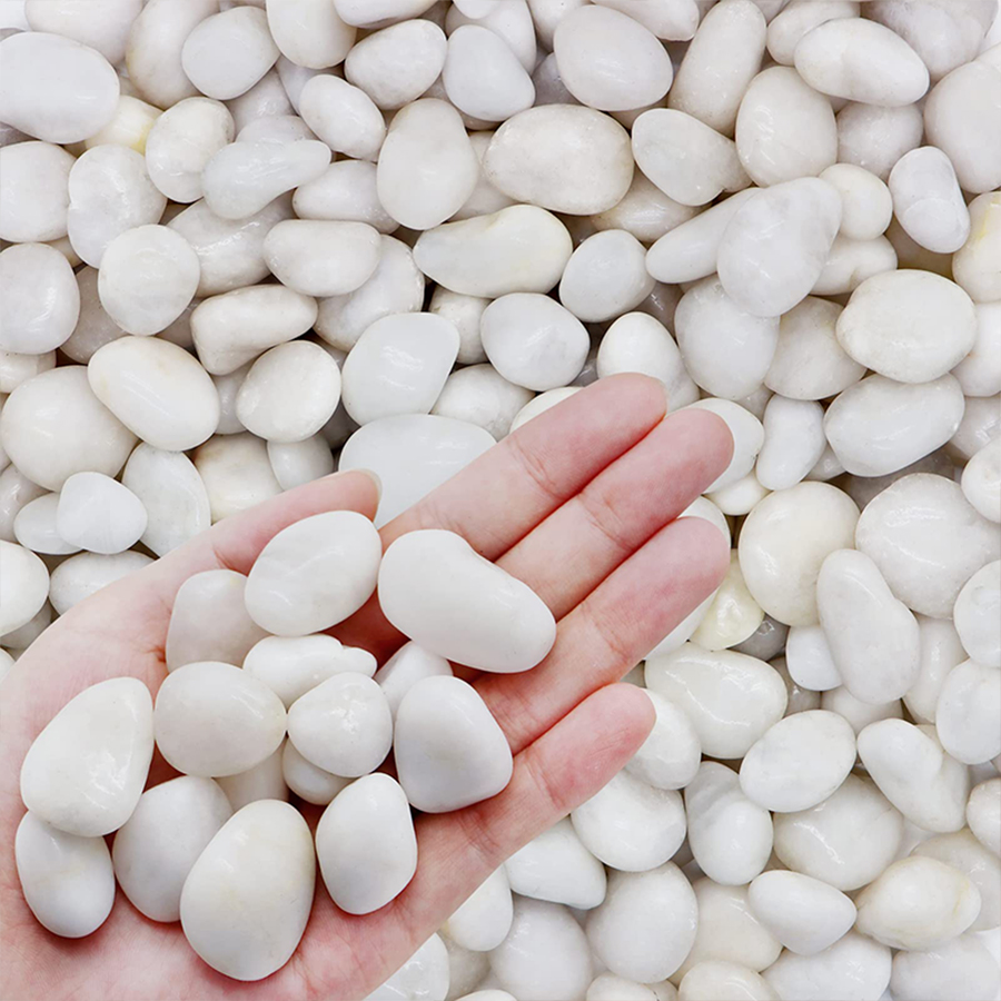 300/500g High Polished White P - Aquarium Sand White 리뷰 및 가격