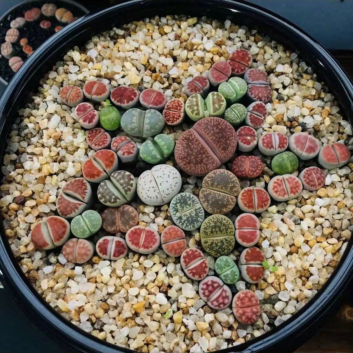 1pc-250g Natural Crystals Grav - Aquarium Planted Soil 리뷰 및 가격
