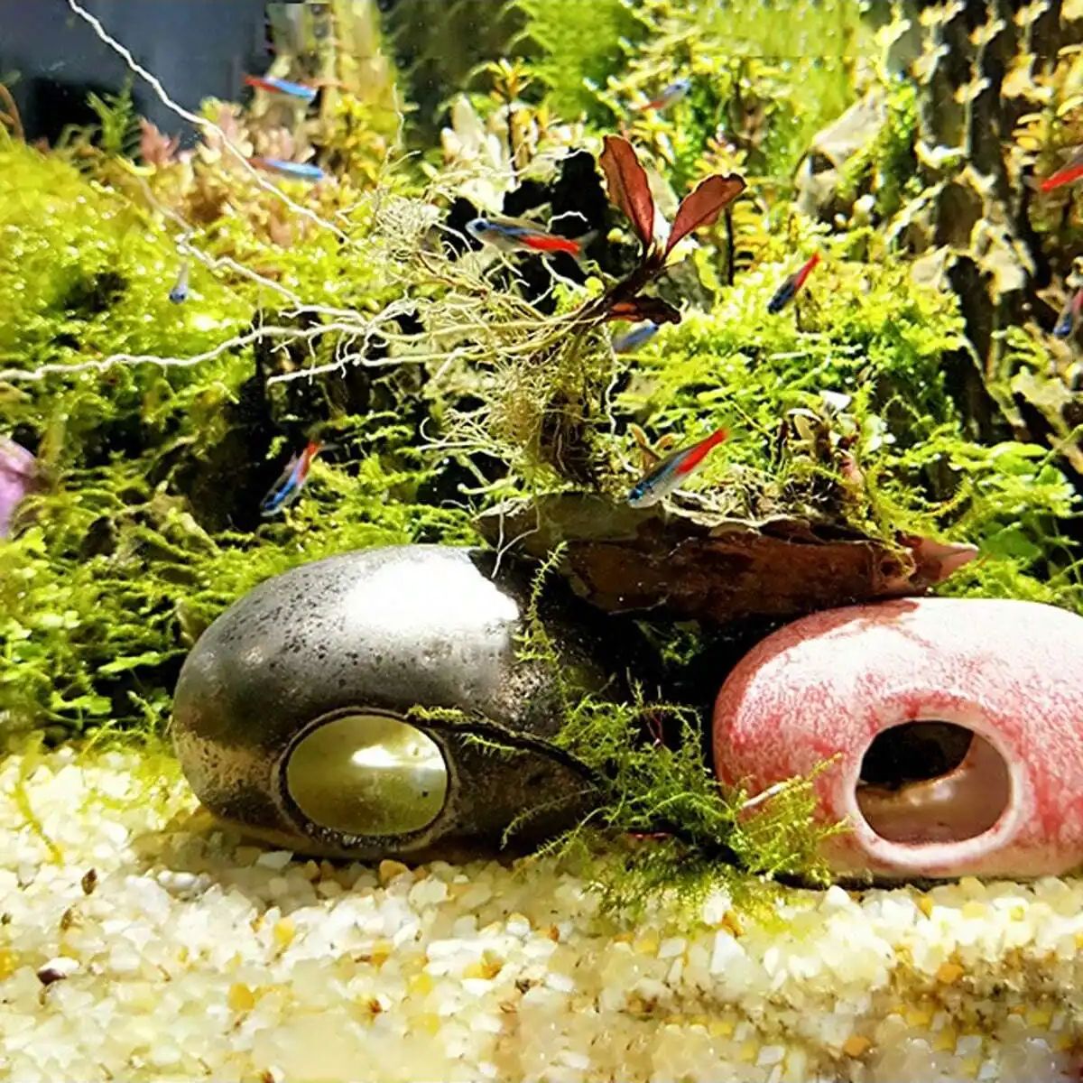 1pc-250g Natural Crystals Grav - Aquarium Planted Soil 리뷰 및 가격