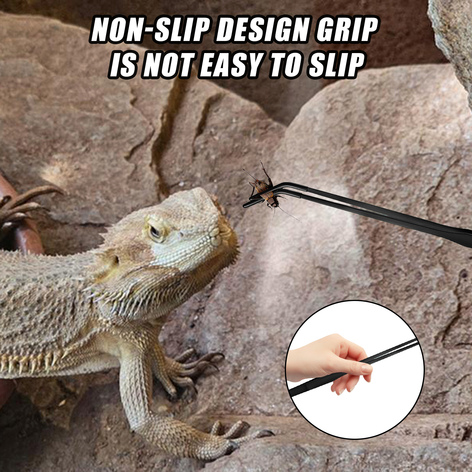 Reptile Feeding Tweezers Pet F - Planted Aquarium Tips 리뷰 및 가격
