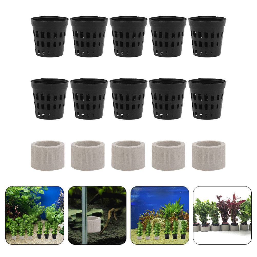 1Set Aquarium Water Plant Fixi - Aquarium Planted Setup 리뷰 및 가격
