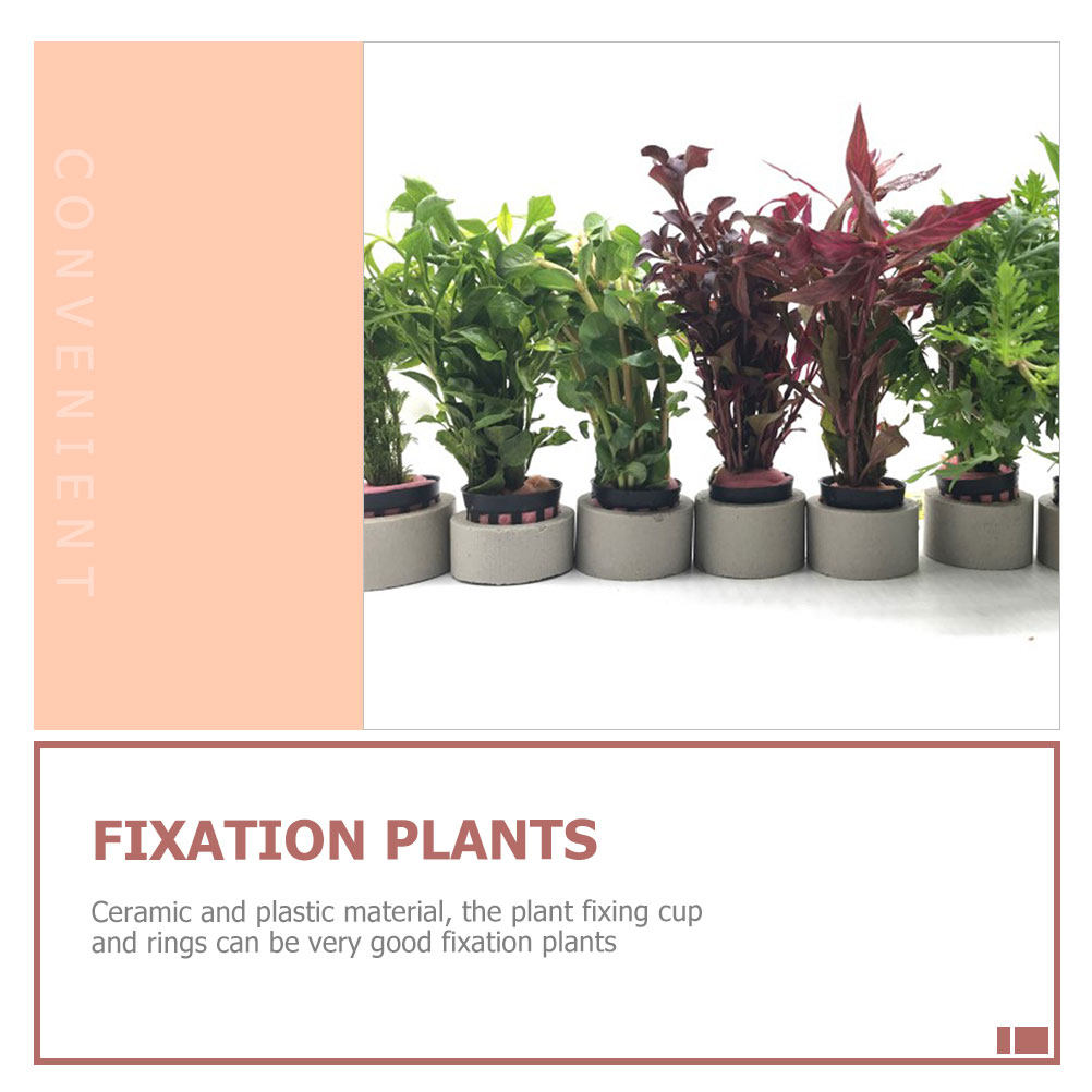 1Set Aquarium Water Plant Fixi - Aquarium Planted Setup 리뷰 및 가격