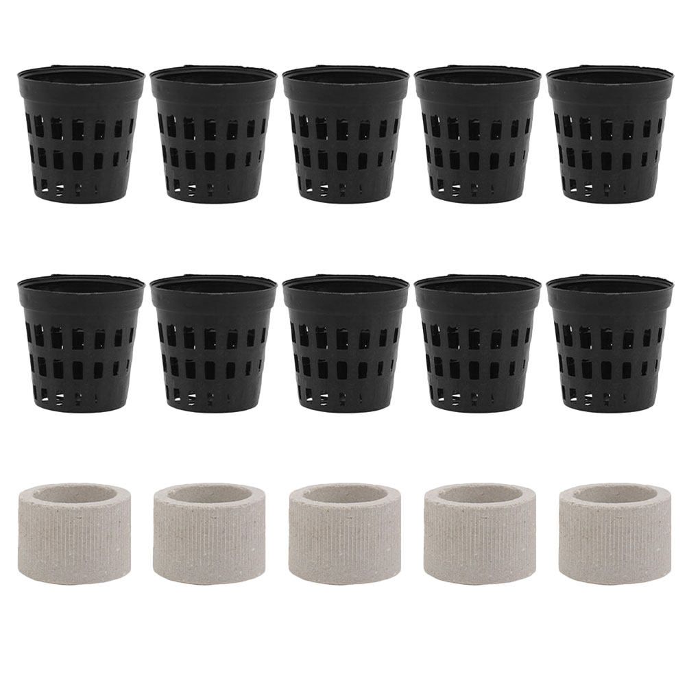 1Set Aquarium Water Plant Fixi - Aquarium Planted Setup 리뷰 및 가격