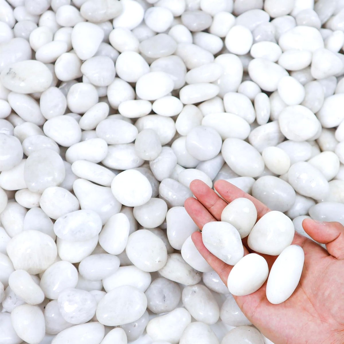400g White Polished Natural Ri - Aquarium Sand White 리뷰 및 가격
