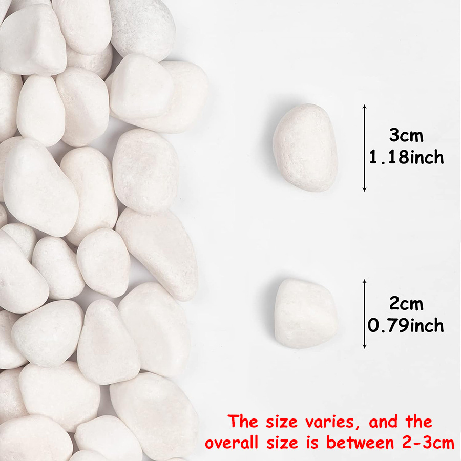 400g White Polished Natural Ri - Aquarium Sand White 리뷰 및 가격