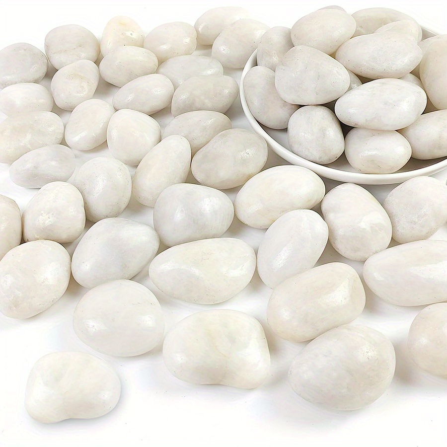 400g White Polished Natural Ri - Aquarium Sand White 리뷰 및 가격