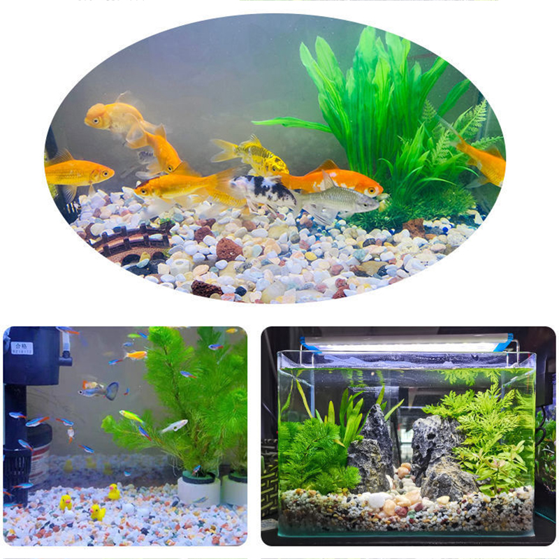 5mm Natural Aquarium Sand 200g - Aquarium Planted Tank Substrate 리뷰 및 가격
