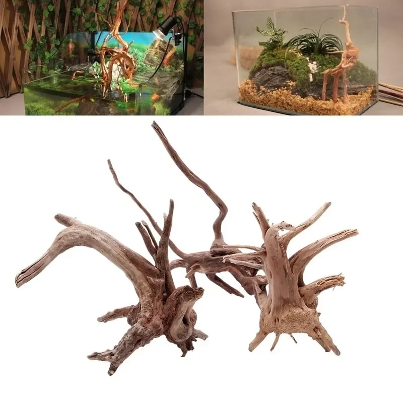 Natural Tree Trunk Driftwood A - Aquarium Planted Soil 리뷰 및 가격