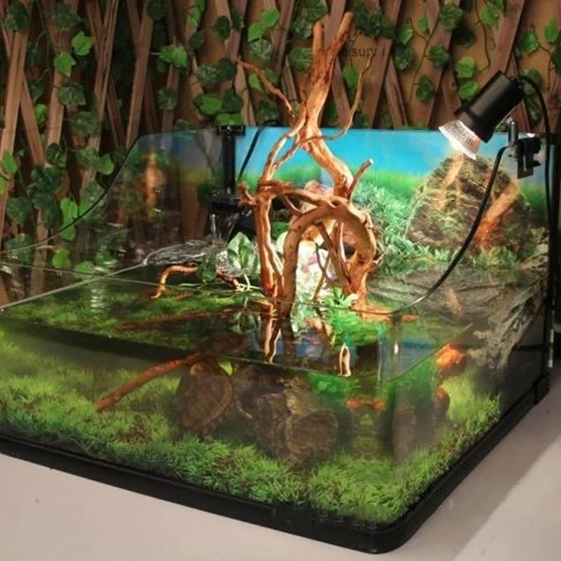 Natural Tree Trunk Driftwood A - Aquarium Planted Soil 리뷰 및 가격