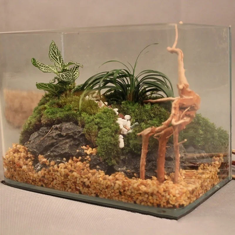 Natural Tree Trunk Driftwood A - Aquarium Planted Soil 리뷰 및 가격