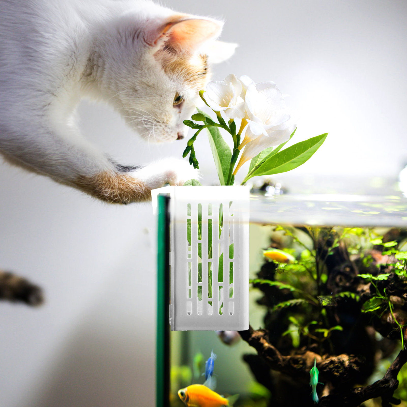 2Pcs Aquatic Plant Holder Hang - Aquarium Planted Setup 리뷰 및 가격