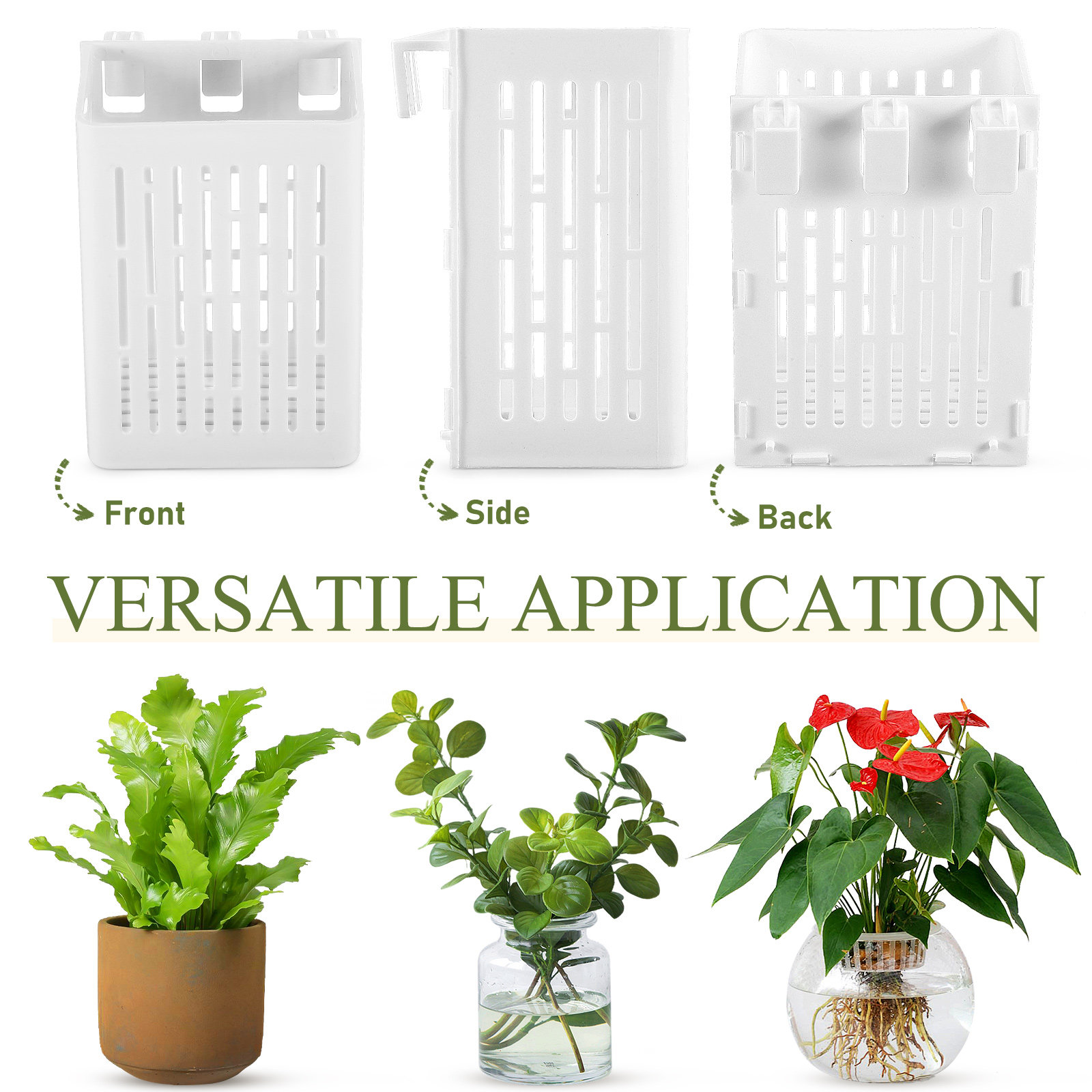 2Pcs Aquatic Plant Holder Hang - Aquarium Planted Setup 리뷰 및 가격
