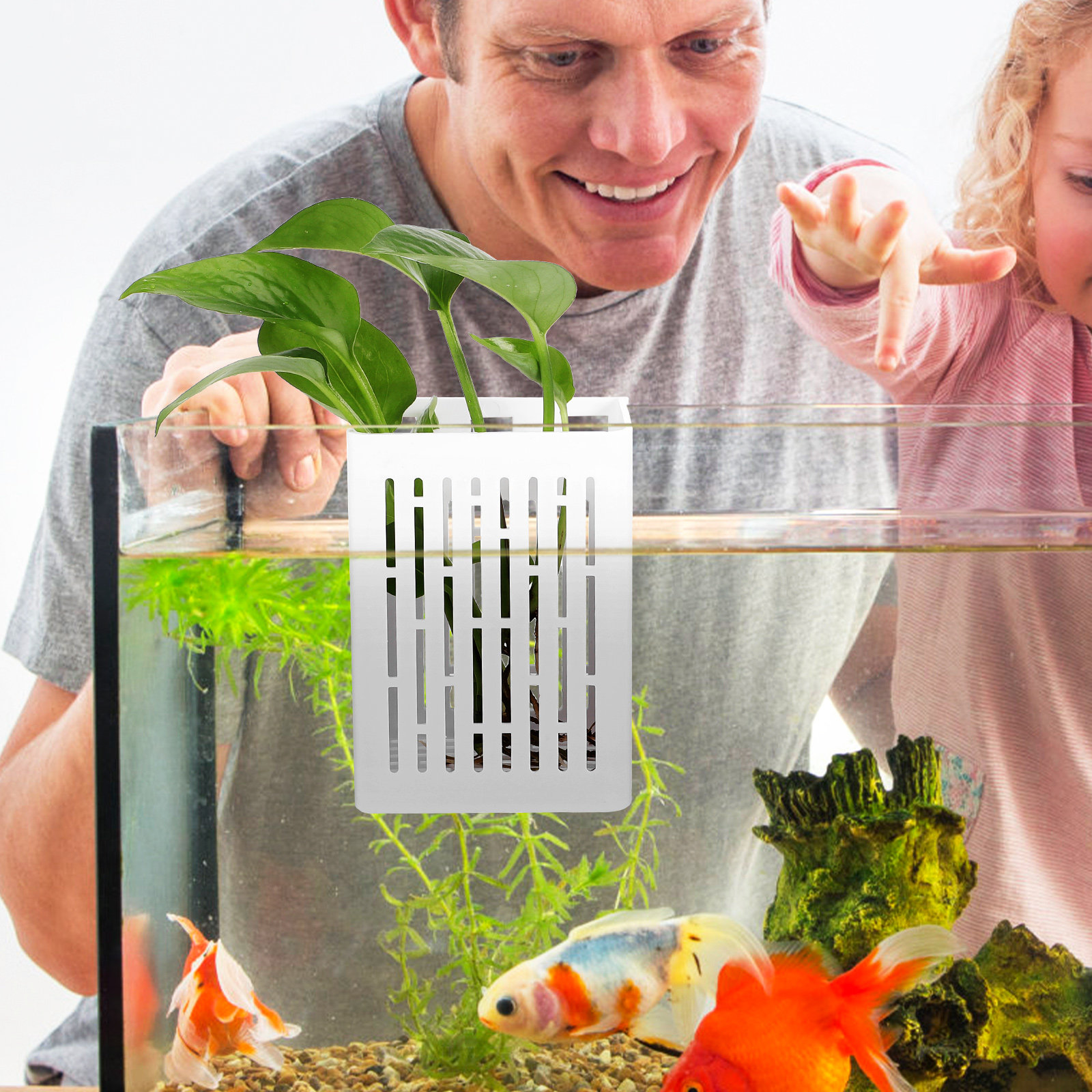 2Pcs Aquatic Plant Holder Hang - Aquarium Planted Setup 리뷰 및 가격