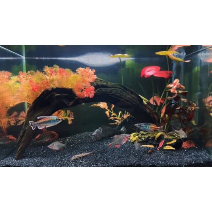 Aquarium Sand, 0 Fish Tank San - Aquarium Planted Tank Substrate 리뷰 및 가격