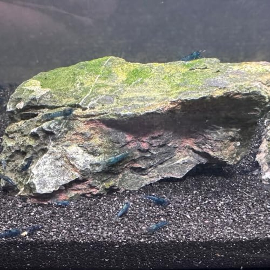 Aquarium Sand, 0 Fish Tank San - Aquarium Planted Tank Substrate 리뷰 및 가격