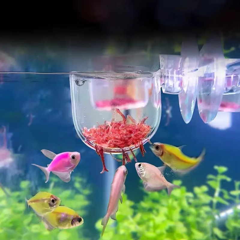 Factory Aquarium Decoration Ha - Aquarium Plant Factory 리뷰 및 가격