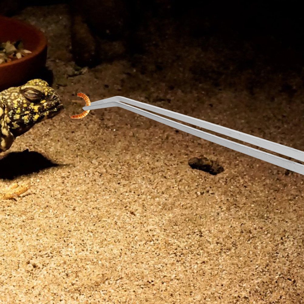 2Pcs Reptile Feeding Tweezers  - Planted Aquarium Tips 리뷰 및 가격