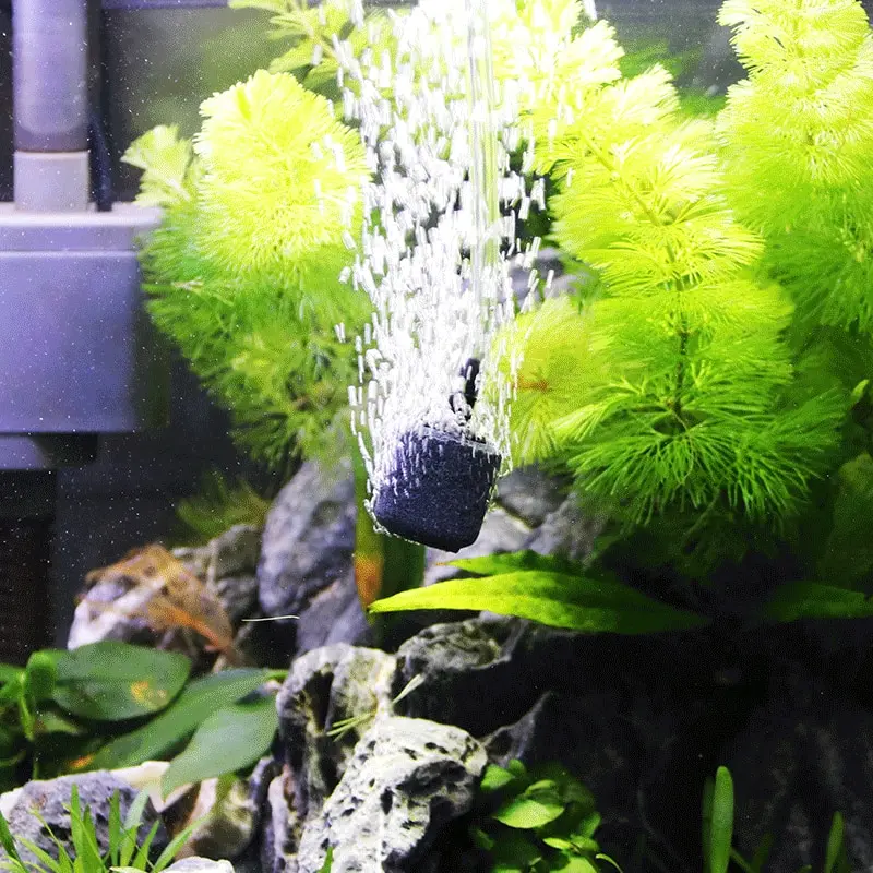 Aquarium Air Pump Accessories  - Aquarium Lily Pipe 리뷰 및 가격