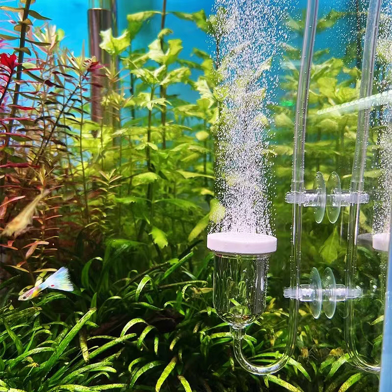 1Set Glass Air Pump Sand Stone - Aquarium Lily Pipe 리뷰 및 가격