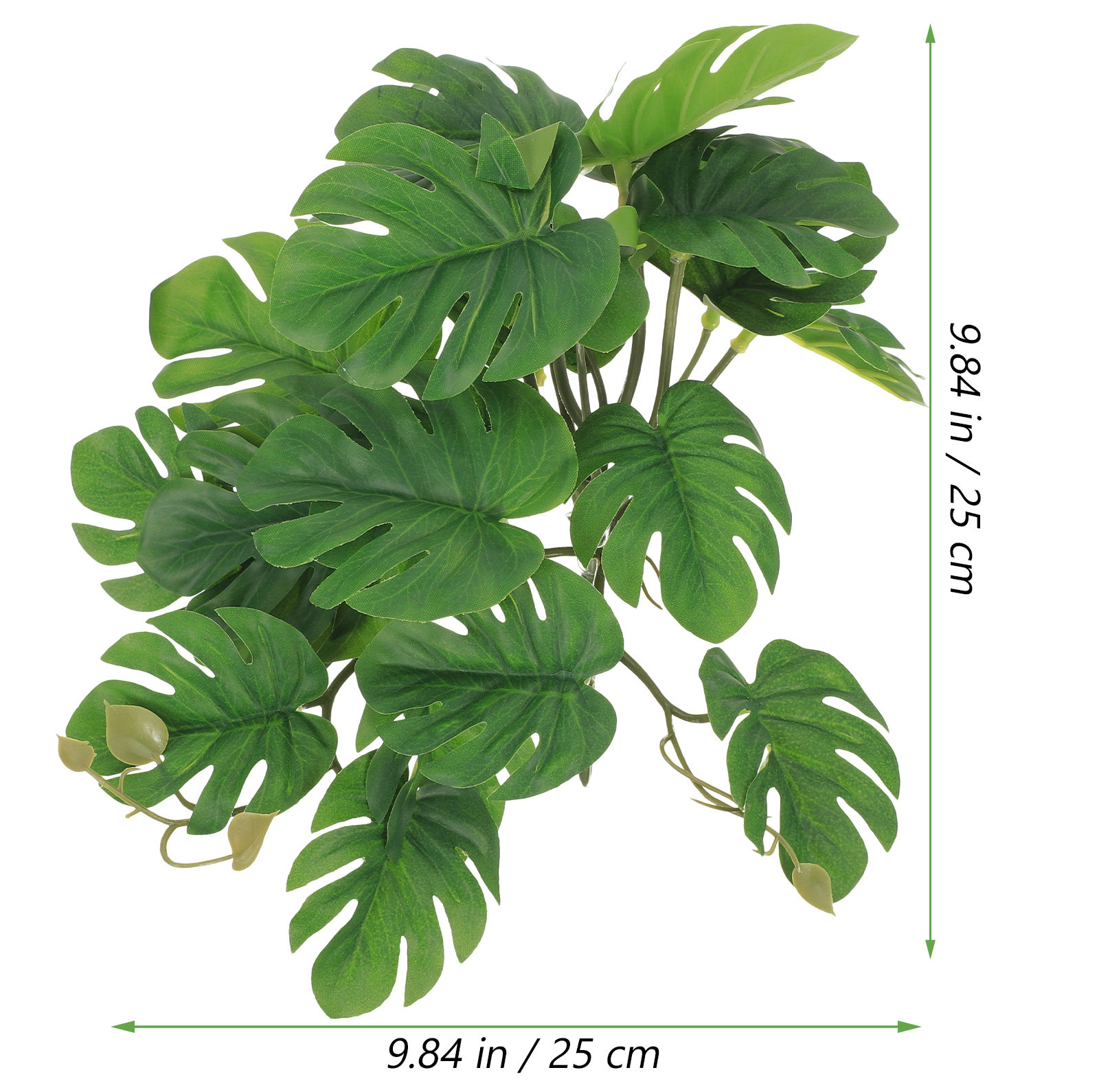Safe Non Toxic Reptile Plants  - Non Planted Aquarium Fish 리뷰 및 가격