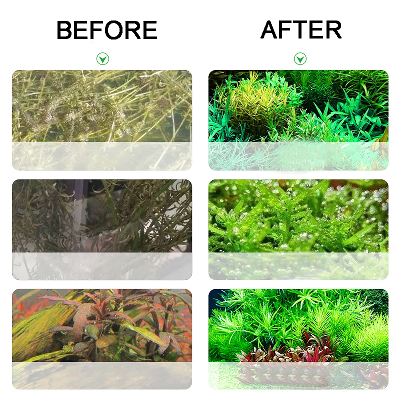 Aquarium CO2 Generator system  - Planted Aquarium Co2 System 리뷰 및 가격