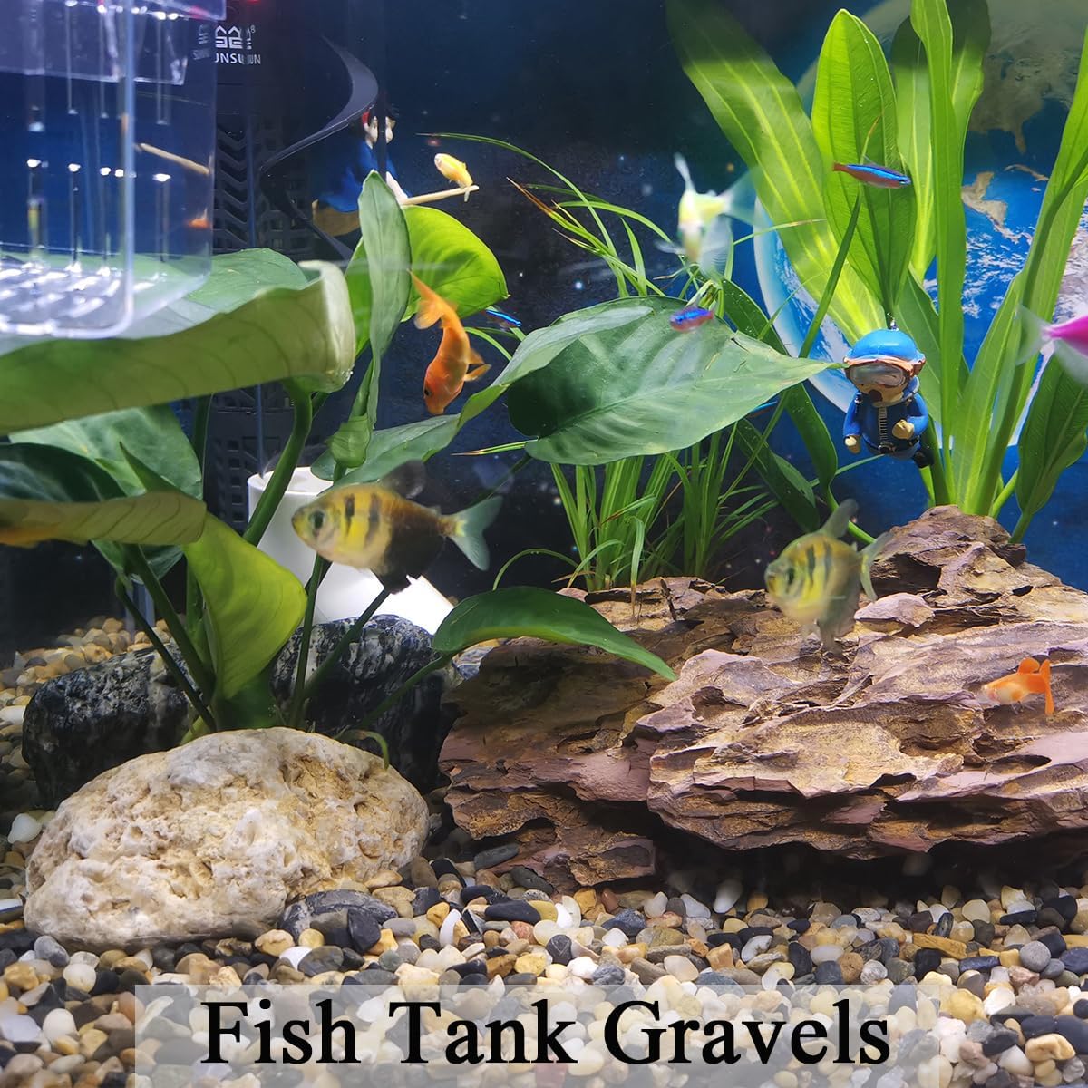 5 lbs Aquarium Gravel, Pea Gra - Aquarium Planted Soil 리뷰 및 가격