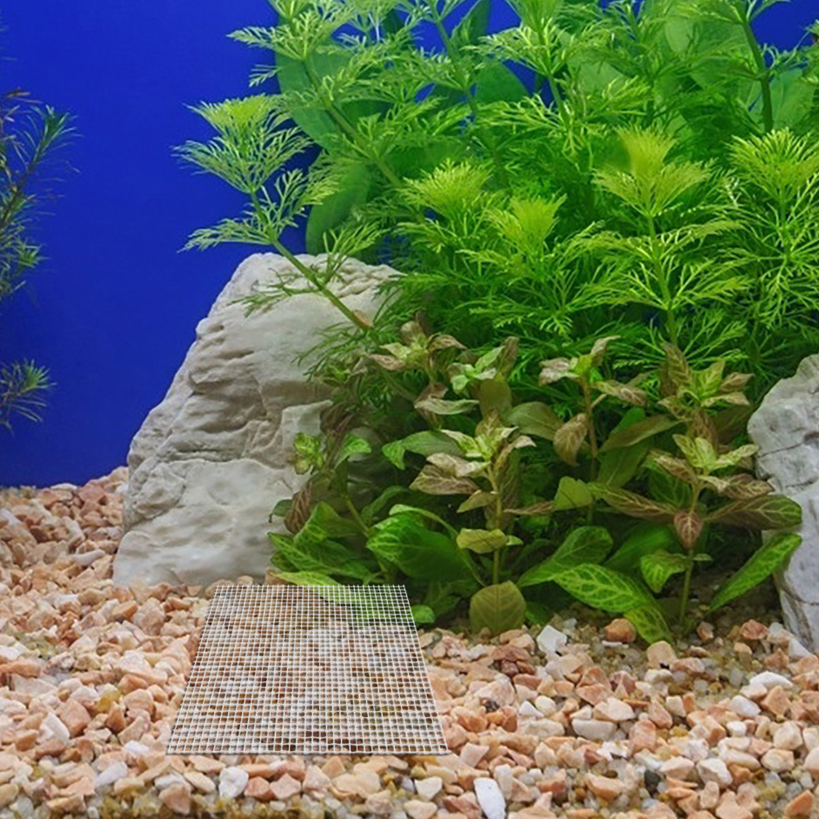 12Pcs Stainless Steel Aquarium - Aquarium Planted Setup 리뷰 및 가격