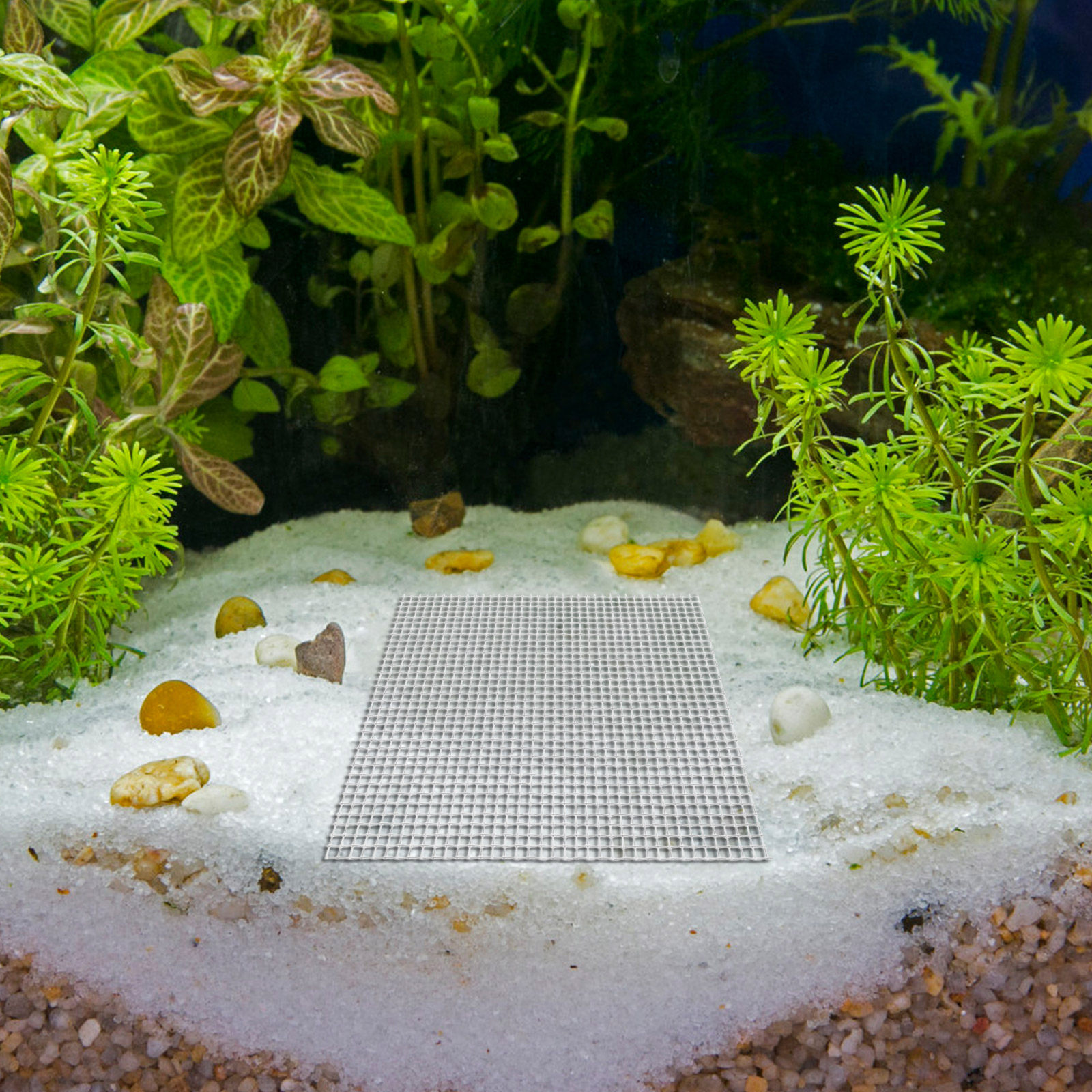 12Pcs Stainless Steel Aquarium - Aquarium Planted Setup 리뷰 및 가격