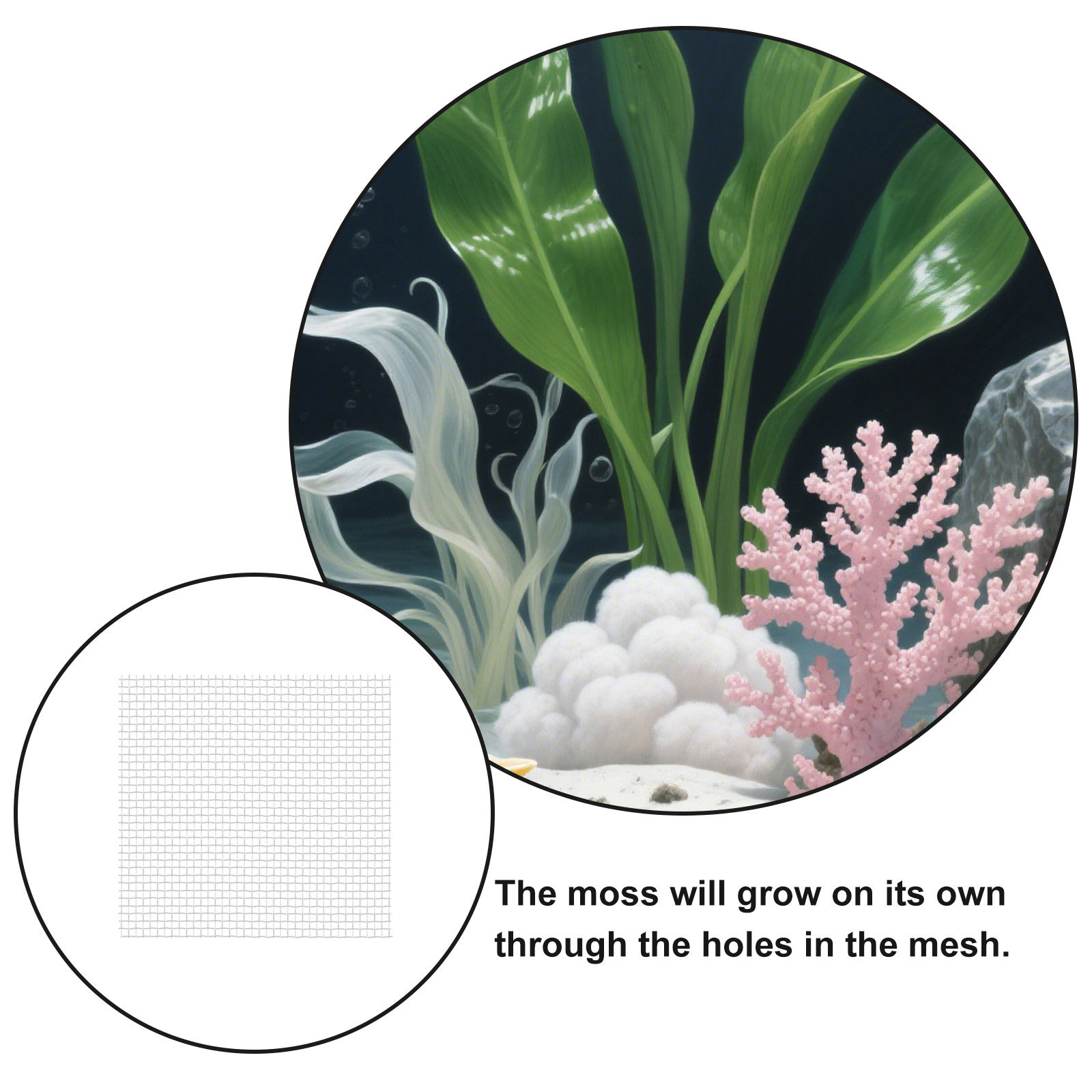 12Pcs Stainless Steel Aquarium - Aquarium Planted Setup 리뷰 및 가격