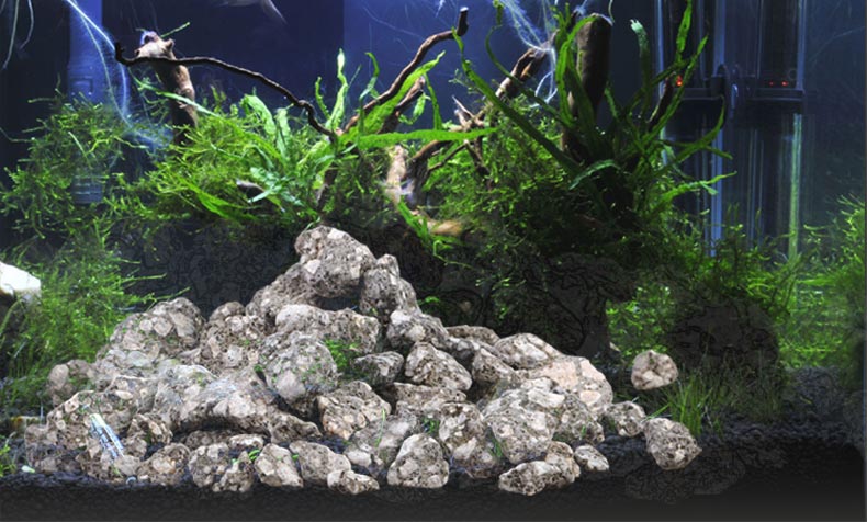 Maifan Stone Maifanite Succule - Aquarium Planted Soil 리뷰 및 가격