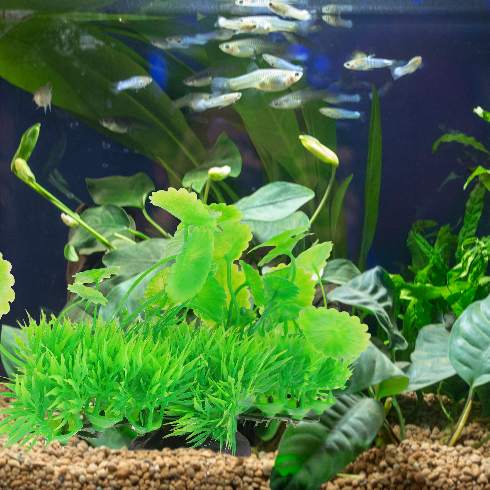 Natural Style Fake Aquarium Pl - Non Planted Aquarium Fish 리뷰 및 가격