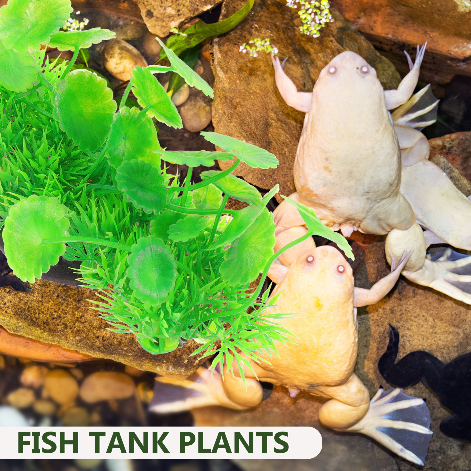Natural Style Fake Aquarium Pl - Non Planted Aquarium Fish 리뷰 및 가격