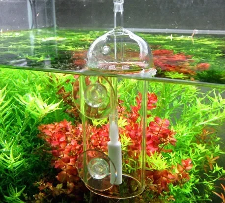 VIV Do Device Aquarium Cylinde - Aquarium Lily Pipe 리뷰 및 가격