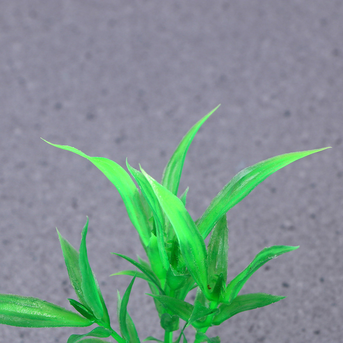 10Pcs Realistic Aquarium Plant - Non Planted Aquarium Fish 리뷰 및 가격