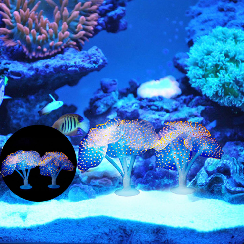 1Pcs Luminous Anemone Artifici - Planted Aquarium With Fish 리뷰 및 가격