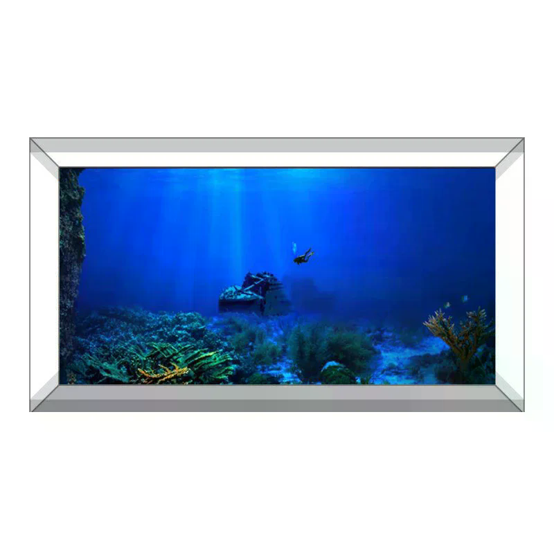 Fish Tank Background Decorativ - Planted Aquarium With Fish 리뷰 및 가격