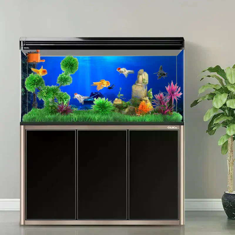Fish Tank Background Decorativ - Planted Aquarium With Fish 리뷰 및 가격