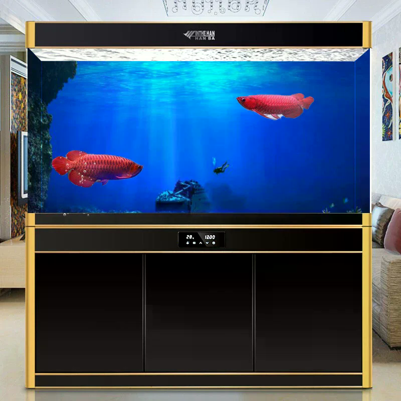Fish Tank Background Decorativ - Planted Aquarium With Fish 리뷰 및 가격