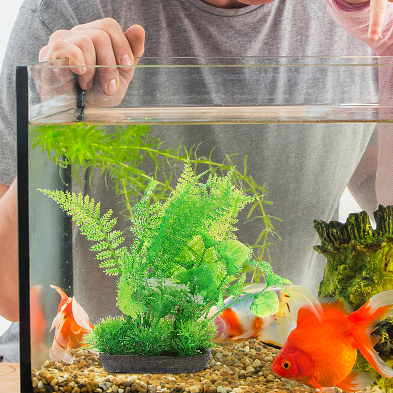 2Pcs High-Grade Aquarium Plant - Non Planted Aquarium Fish 리뷰 및 가격