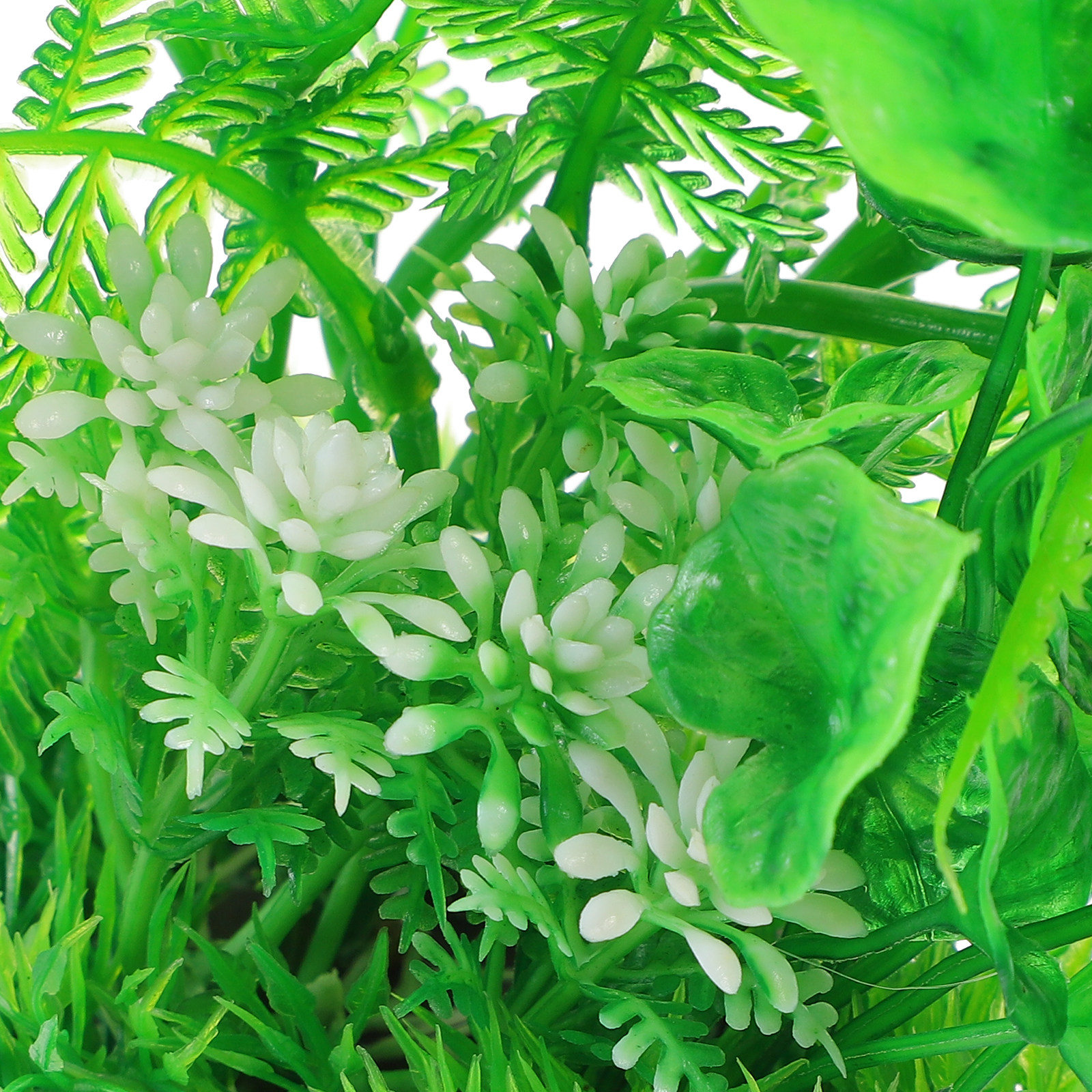 2Pcs High-Grade Aquarium Plant - Non Planted Aquarium Fish 리뷰 및 가격